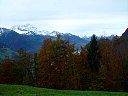 DSC05746.jpg