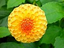 DSC05759.jpg