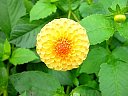 DSC05760.jpg