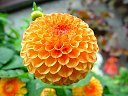 DSC05761.jpg