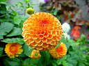 DSC05762.jpg