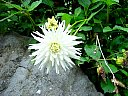 DSC05763.jpg
