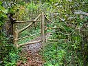 DSC05764.jpg