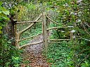DSC05765.jpg