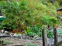 DSC05766.jpg