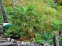 DSC05767.jpg