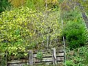 DSC05768.jpg