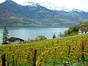DSC05770.jpg