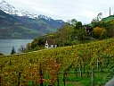DSC05772.jpg
