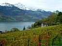 DSC05773.jpg