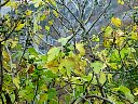 DSC05775.jpg
