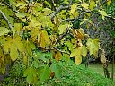 DSC05776.jpg
