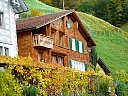 DSC05779.jpg