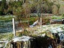 DSC05821.jpg