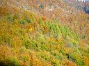 DSC05837.jpg