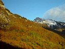 DSC05838.jpg