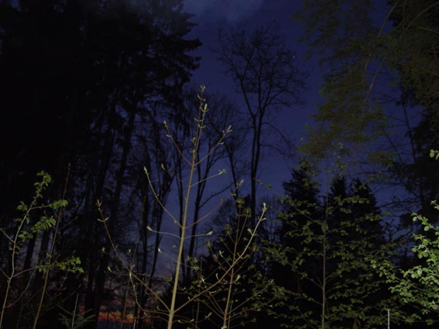 DSC01623