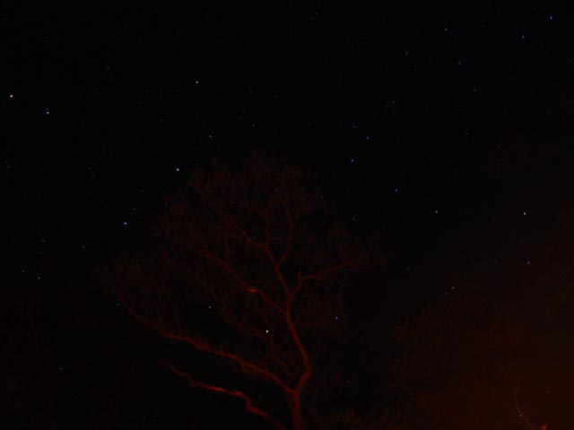 DSC05931