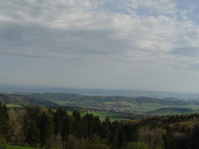 DSC05950