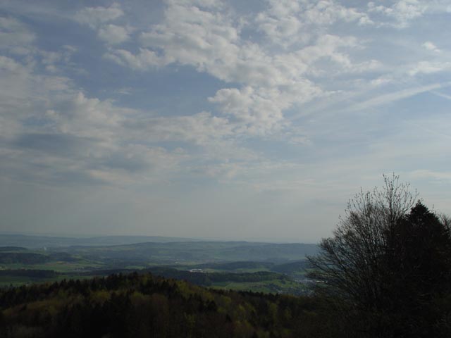 DSC05951