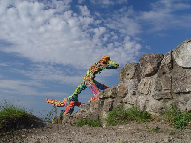 DSC05952
