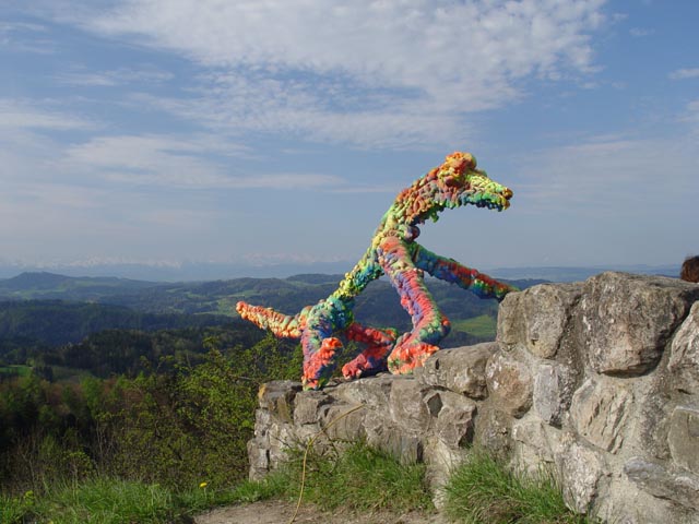 DSC05954