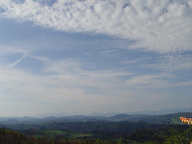 DSC05955