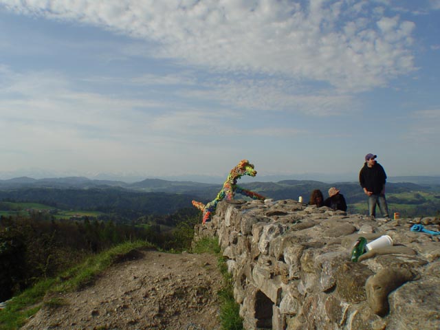 DSC05962