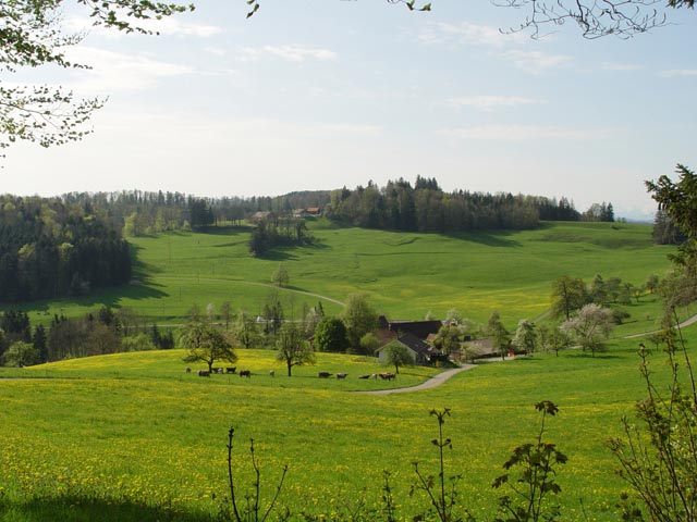 DSC05966