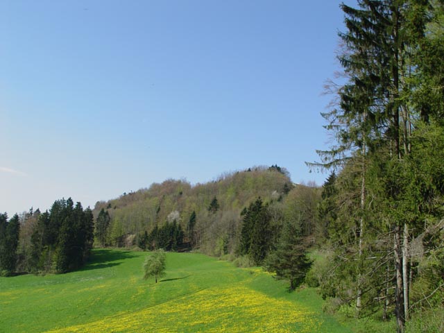 DSC05967