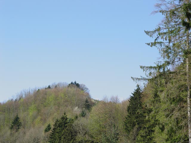 DSC05969