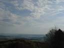 DSC05951