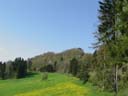 DSC05967