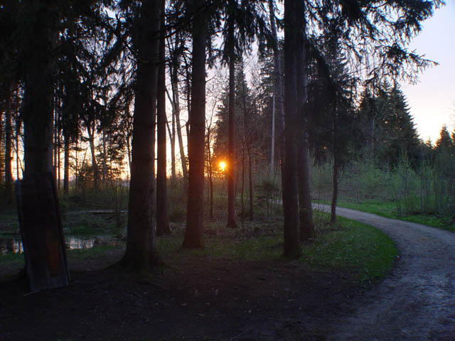 DSC09198