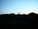 DSC01967.jpg