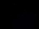 DSC01975.jpg
