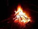 DSC02035.jpg