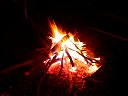 DSC02036.jpg