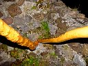 DSC02040.jpg